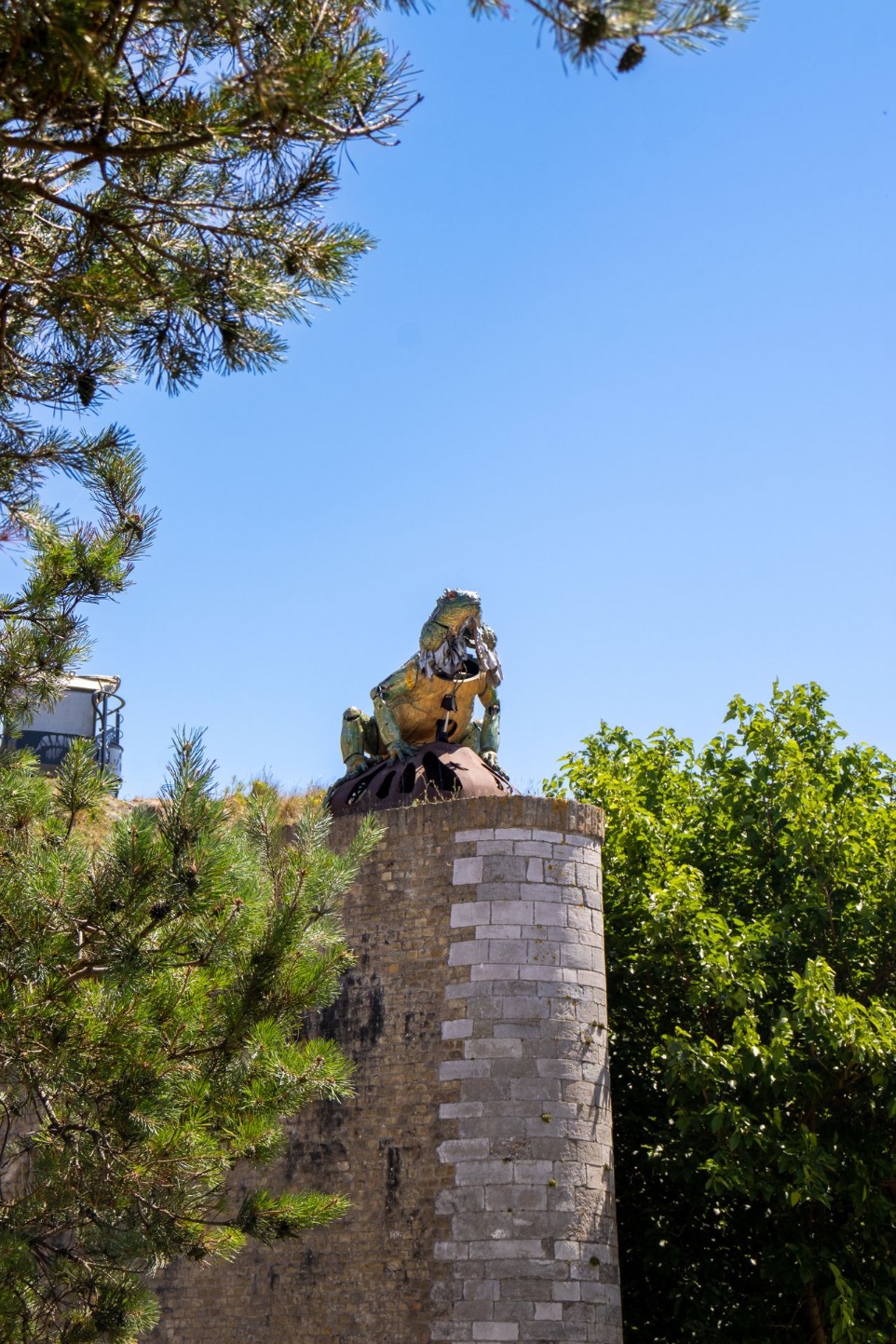 © Timothé Lovergne L'Iguane Sentinelle, posté sur le conte-fort du Fort Risban