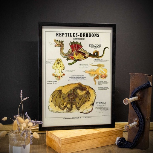 Affiche reptiles dragons cracheurs de feu